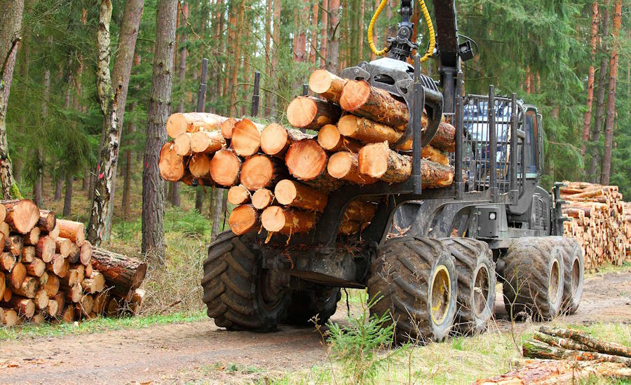 när skogsbruket närmar sig industriell skala så kan det vara dags för en skotare detta är specifikt framtagna skogsmaskiner som består av både drivning vagn och kran