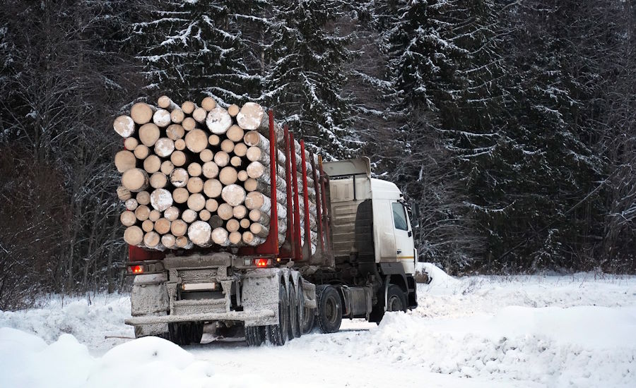 efter avverkning av skogen så kanske det är dags att sälja vidare virket då kan exempelvis ett lokalt sågverk hämta upp det med en timmerlastbil